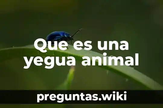 Que es una yegua animal