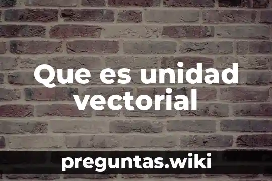 Que es unidad vectorial