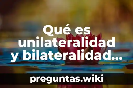 Qué es unilateralidad y bilateralidad en derecho