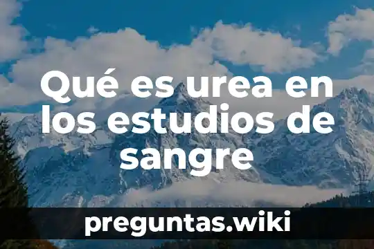 Qué es urea en los estudios de sangre