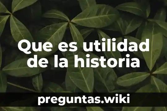 Que es utilidad de la historia