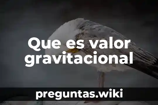 Que es valor gravitacional