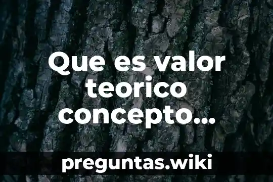 Que es valor teorico concepto general