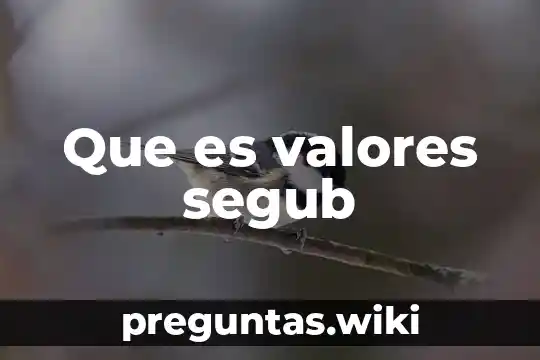 Que es valores segub