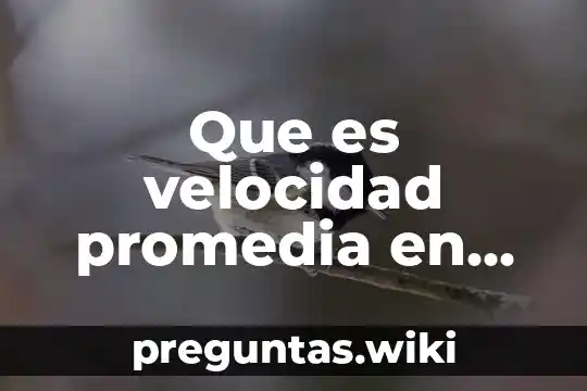 Que es velocidad promedia en fisica y su formula