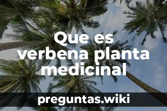 Que es verbena planta medicinal
