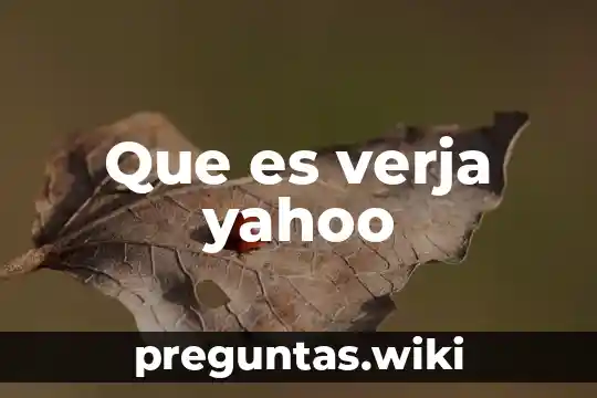 Que es verja yahoo