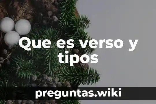 Que es verso y tipos
