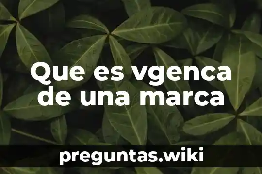 Que es vgenca de una marca