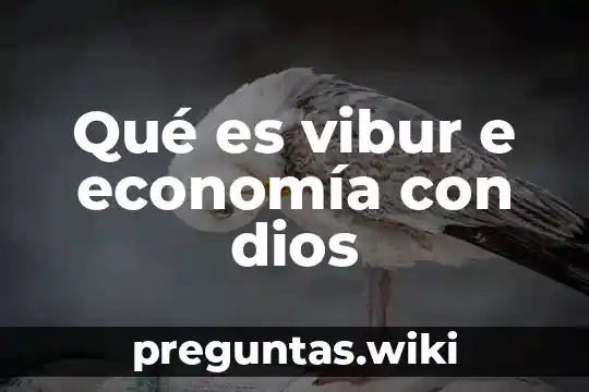 Qué es vibur e economía con dios