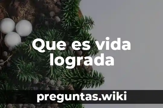 Que es vida lograda