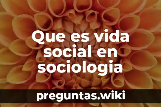 Que es vida social en sociologia