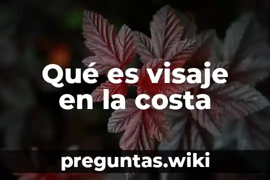 Qué es visaje en la costa