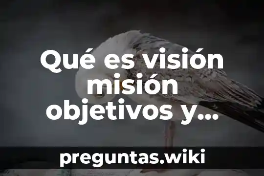 Qué es visión misión objetivos y metas