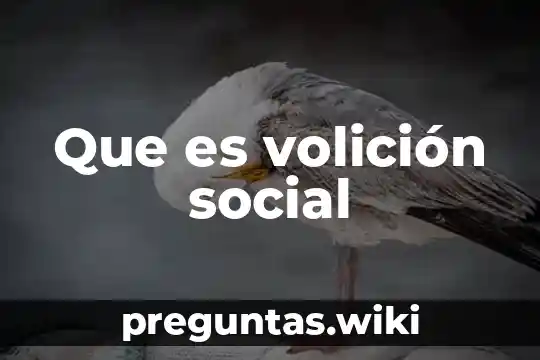 Que es volición social