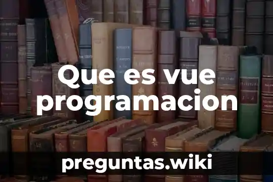 Que es vue programacion