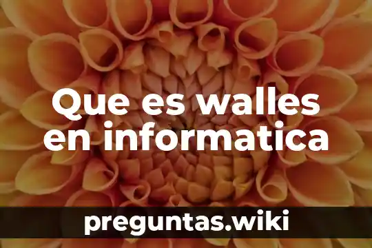 Que es walles en informatica