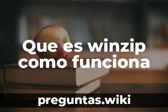 Que es winzip como funciona
