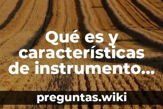 Qué es y características de instrumento de medida