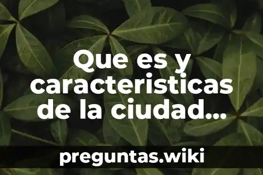 Que es y caracteristicas de la ciudad industrial