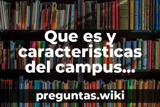 Que es y caracteristicas del campus virtual