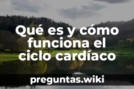 Qué es y cómo funciona el ciclo cardíaco