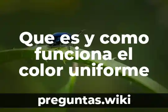 Que es y como funciona el color uniforme