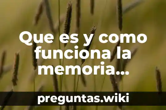 Que es y como funciona la memoria sensorial