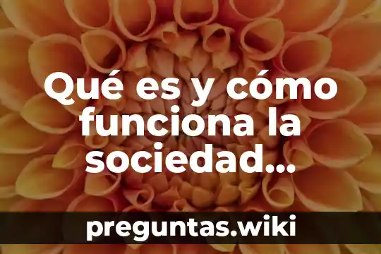 Qué es y cómo funciona la sociedad anónima