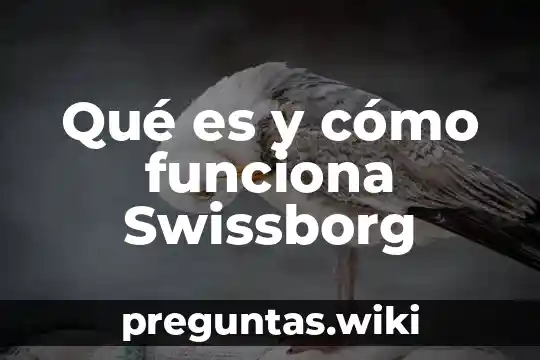 Qué es y cómo funciona Swissborg