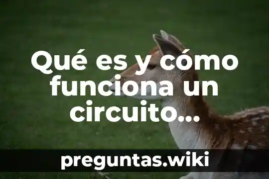 Qué es y cómo funciona un circuito integrado