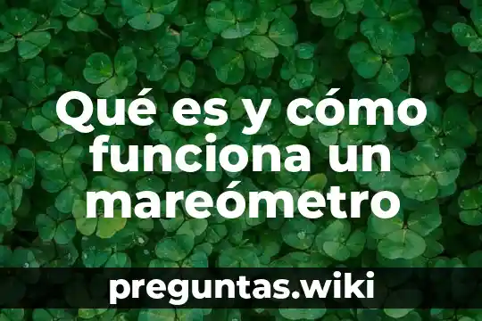 Qué es y cómo funciona un mareómetro