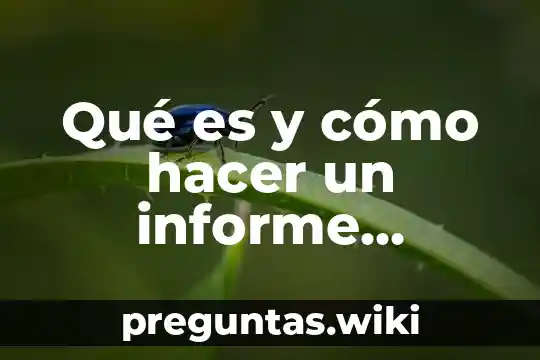 Qué es y cómo hacer un informe ejecutivo