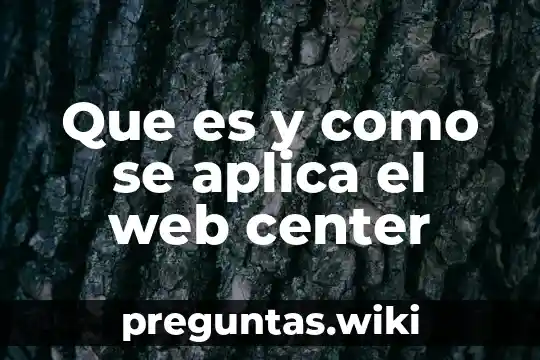 Que es y como se aplica el web center