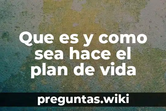 Que es y como sea hace el plan de vida