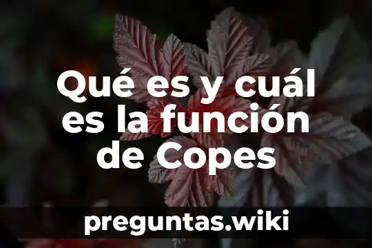 Qué es y cuál es la función de Copes