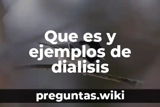 Que es y ejemplos de dialisis