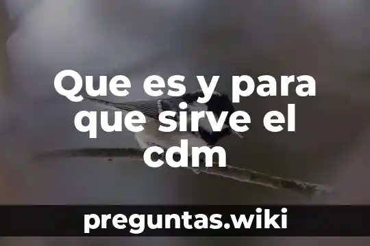 Que es y para que sirve el cdm
