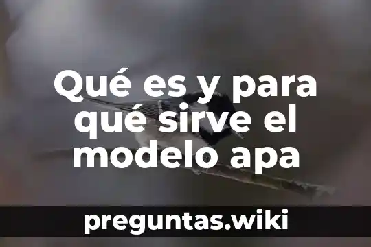 Qué es y para qué sirve el modelo apa