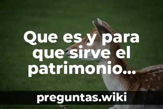 Que es y para que sirve el patrimonio familiar