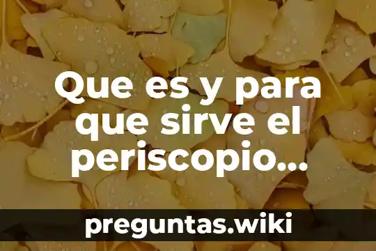Que es y para que sirve el periscopio como hacerlo