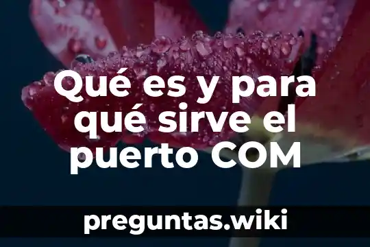 Qué es y para qué sirve el puerto COM
