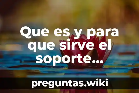 Que es y para que sirve el soporte universal
