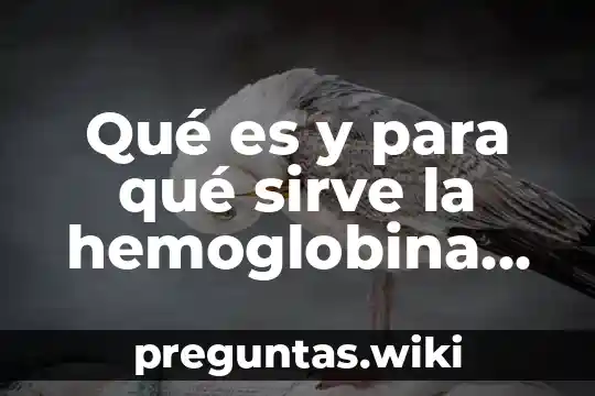 Qué es y para qué sirve la hemoglobina capilar