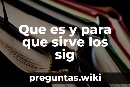 Que es y para que sirve los sig