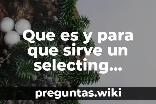 Que es y para que sirve un selecting target