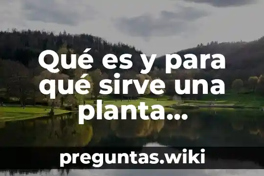 Qué es y para qué sirve una planta arquitectónica
