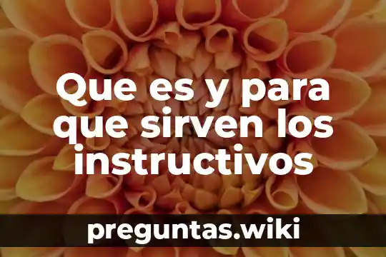 Que es y para que sirven los instructivos
