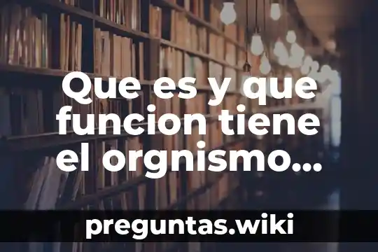 Que es y que funcion tiene el orgnismo conocer