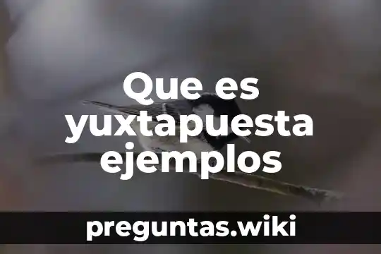 Que es yuxtapuesta ejemplos